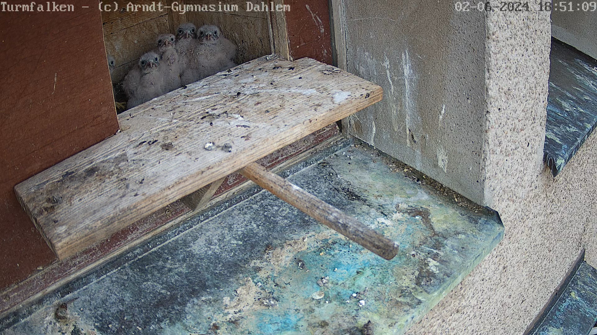 Viereinhalb Kinder gucken in die Kamera